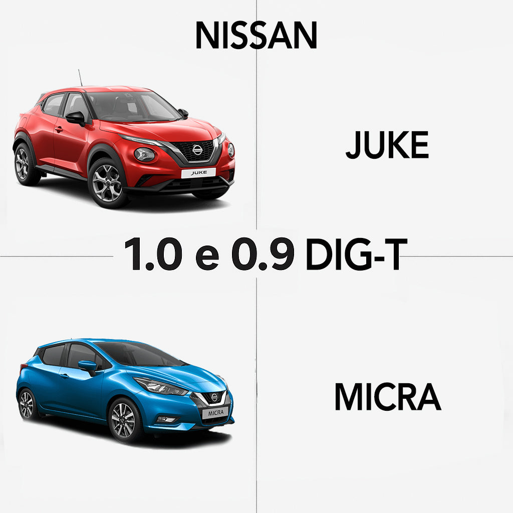 Antivibrazione per Asta Wastegate – Motori Renault - Dacia - Nissan 0.9 e 1.0 Turbo